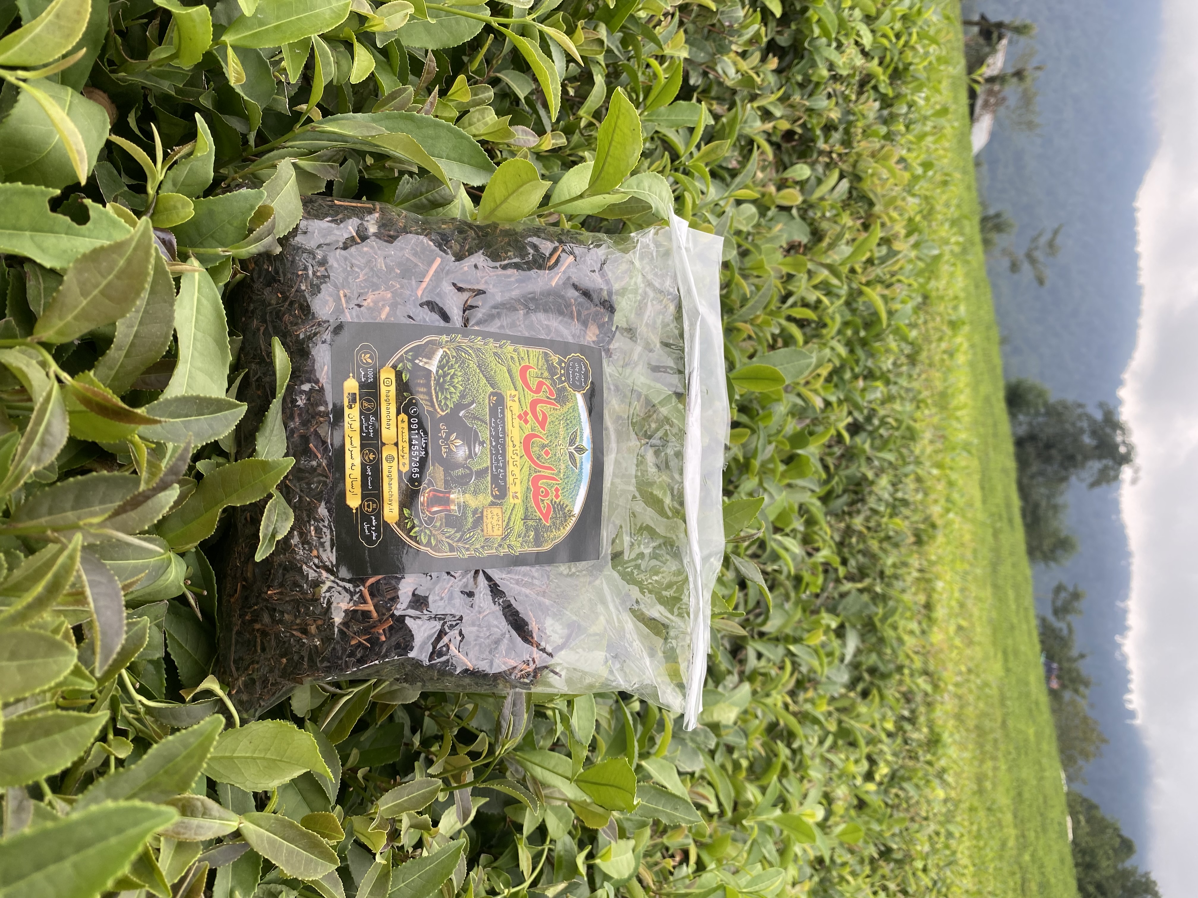 چای قلم معمولی (۱۰۰ گرمی )حقان چای
