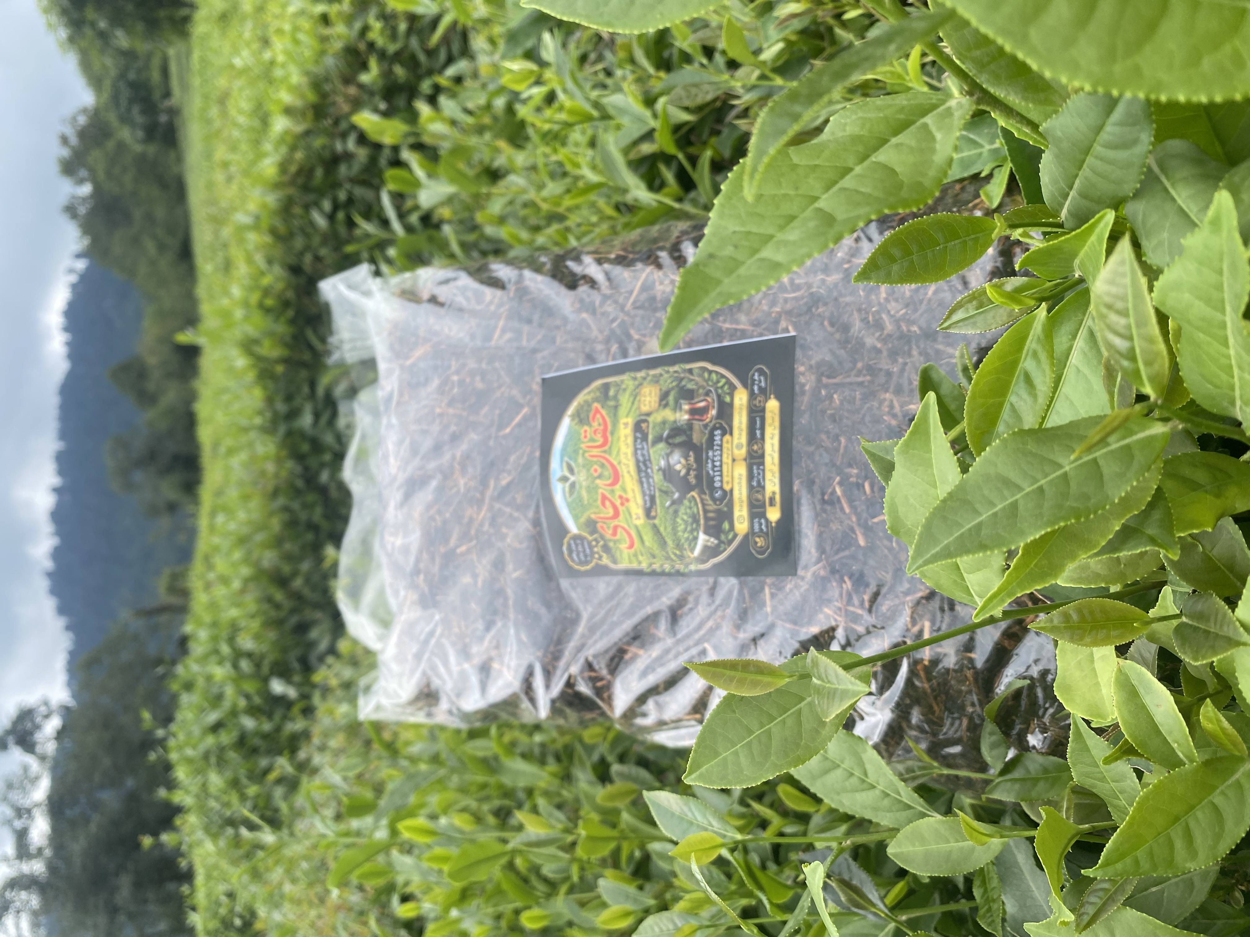 چای خشک (چوب چای ) یک کیلویی حقان چای